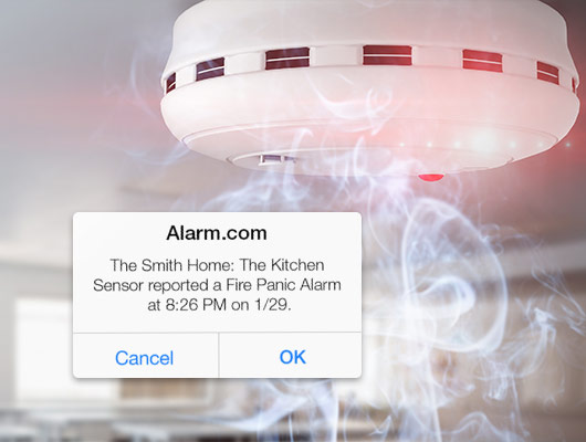 Smoke detector and smart notification