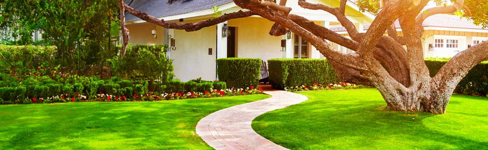 House with mature oak in front